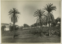 Mission San Diego thumbnail