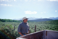 Logging protests 104 thumbnail