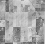 1950 ABI-18G-56 [Fresno County, California aerial survey, 1950]. thumbnail