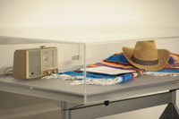 "Bittersweet Harvest:The Bracero Program 1942-1964" Exhibition at Broome Library thumbnail
