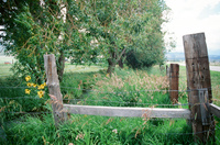 Kaber farm, Setting sluice gates 016 thumbnail