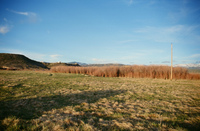 Landscapes and cattle 034 thumbnail