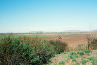 Gallegos farm, Orchards and landscapes 015 thumbnail
