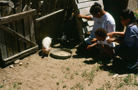 Kaber farm, Plowing 059 thumbnail