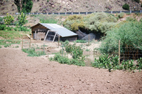 Landscapes and ostrich farm 032 thumbnail