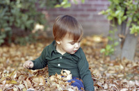 Adam Watkins Sitting in Autumn Leaves Pile at Home thumbnail