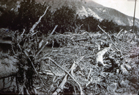 Road East of Pole Creek (Fillmore, CA) after the St. Francis Dam Flood thumbnail