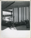 [Tile wall near country club pool area] thumbnail