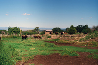 Kaber farm, Equipment 046 thumbnail