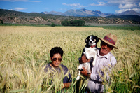 Kaber farm, Grain fields and landscapes 017 thumbnail