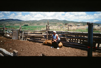 Kaber farm, Horno construction 020 thumbnail