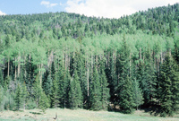 River and hay baling 022 thumbnail