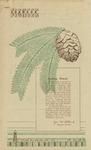 Granada Pioneer, Vol. II, No. 18 thumbnail