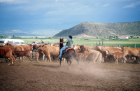Colorado rural life 035 thumbnail