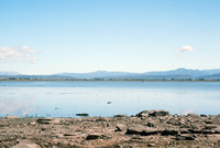 High Desert Research Farm 008 thumbnail