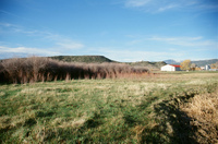 Landscapes and cattle 019 thumbnail