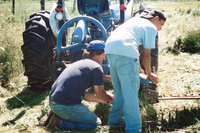 Montoya farm, Repairing farm equipment 002 thumbnail