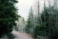 Rio Grande National Forest 005 thumbnail