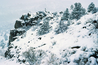 Rio Grande National Forest 022 thumbnail