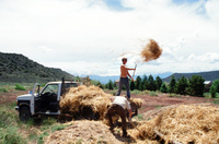 Root cellar construction and horno use 008 thumbnail
