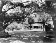 Alum Rock Park. thumbnail