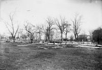 The thawing snow thumbnail