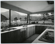 Interior Photo of the Shamel Residence kitchen thumbnail