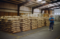 NAPI (Navajo Agricultural Products Industries) 023 thumbnail