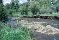 River and hay baling 005 thumbnail