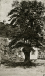 Beethoven home in Baden bei Wien: Sauerhof thumbnail