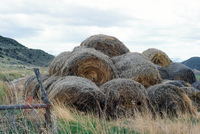 Farming in San Luis Valley 038 thumbnail