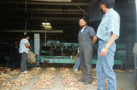 NAPI (Navajo Agricultural Products Industries) 011 thumbnail