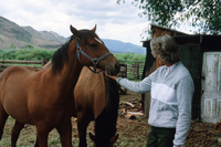 Coleman ranches 025 thumbnail
