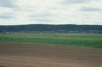 Gallegos farm, Fields and plowing 002 thumbnail