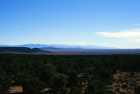 Landscapes and ostrich farm 006 thumbnail