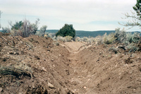 Maistas farm, Ditch and cattle 036 thumbnail