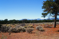 Torres ranch, Landscapes 009 thumbnail