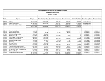 2009 January Construction report – summary thumbnail