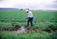 Kaber farm, Water control 039 thumbnail