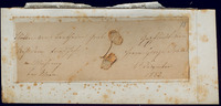 Leaves from Beethoven's grave thumbnail