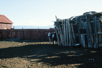 Pilgrimage 028 thumbnail