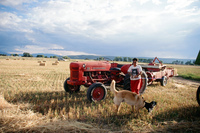 Kaber farm, Tractor driving 025 thumbnail