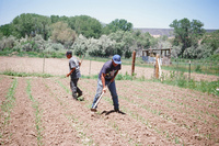 Montoya farm 016 thumbnail