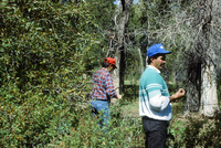 San Luis Valley farms 066 thumbnail