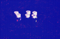 Pt. Mugu Wetlands thumbnail