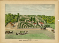 Dana, W. C., Los Berros, Ranch and Residence, San Luis Obispo County thumbnail