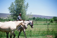 Montoya farm 024 thumbnail