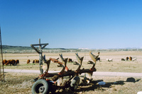 San Luis Valley farm 029 thumbnail
