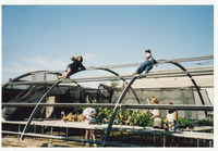 [Two people climbing on the greenhouse frame] thumbnail