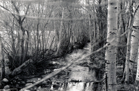 Gallegos farm, El Cerro Ditch 002 thumbnail